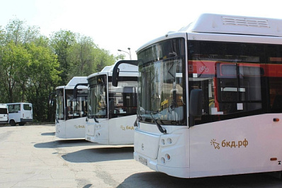 В Тольятти троллейбусы пустят в объезд из-за обрезки деревьев