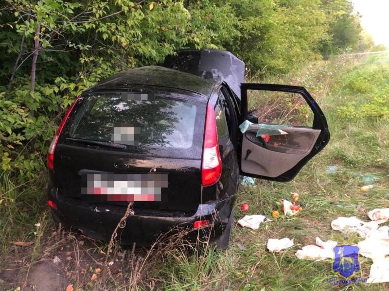 На трассе в Самарской области "Калина" оказалась в кювете