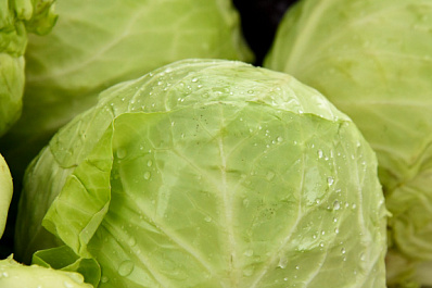 Народные приметы на 24 сентября 2025 года: что нельзя делать в этот день