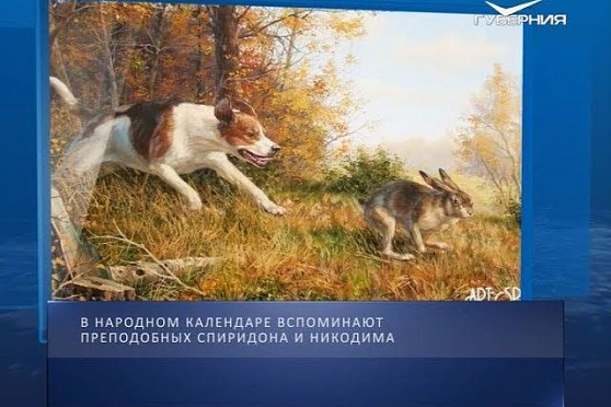 Календарь губернии от 13.11.2018