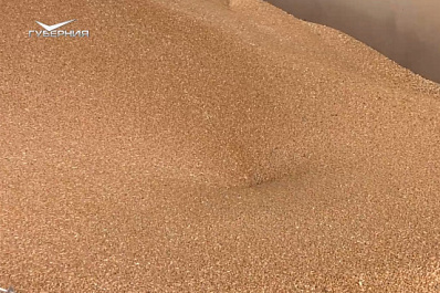 Вячеслав Федорищев оценил работу мукомольного завода в Самарской области