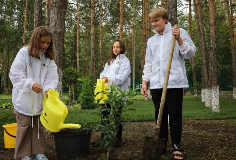 20 тонн макулатуры: самарские нефтяники стали лауреатами всероссийского экологического марафона