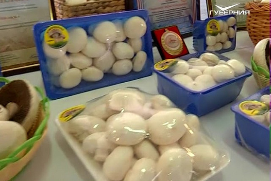 Новости Губернии от 11.07.2018