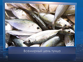 Всемирный день тунца. Календарь губернии от 2 мая