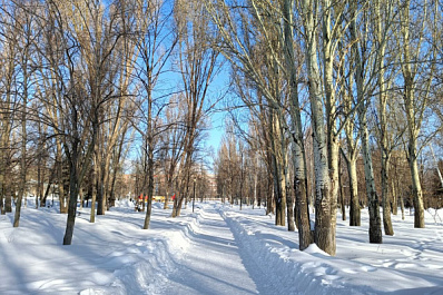 29 февраля в Самарской области потеплеет