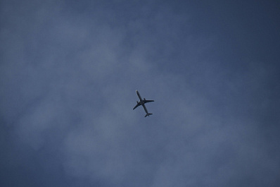 Житель Самары пытался открыть дверь самолета в воздухе и попал в руки полиции