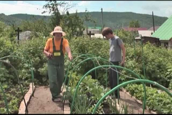 Дачные советы 13.06.2013 