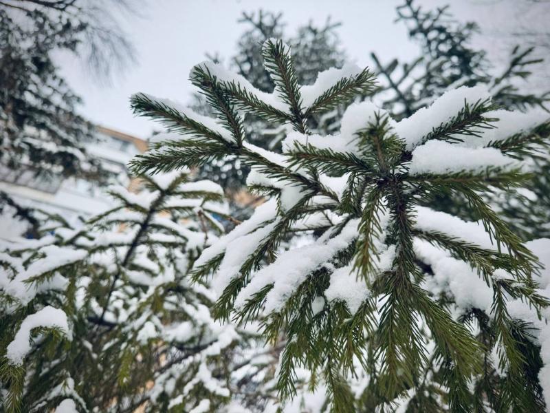 Народные приметы на 1 декабря 2025 года: что нельзя делать в этот день