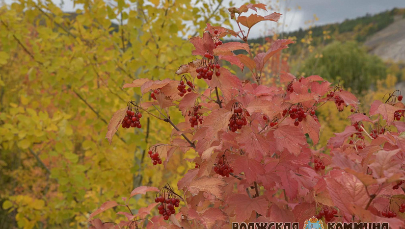 4 октября в истории и архиве "ВК"