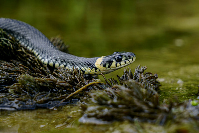 Народные приметы на 25 сентября 2025 года: что нельзя делать в этот день