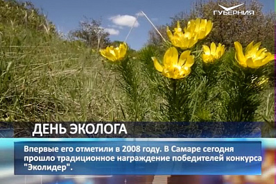В День эколога в Самаре наградили победителей конкурса ЭкоЛидер