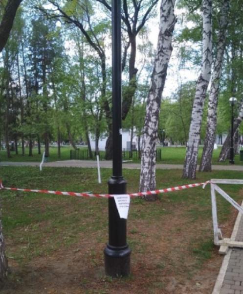 Лечить или снести: в Самаре решают, как поступить с 300-летним дубом