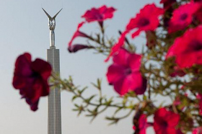 Живые мячи появятся в Самаре в преддверии ЧМ-2018