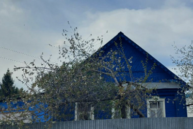 Деревянный дом у озера в Самаре выставили на продажу за 4 миллиарда рублей