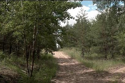 Мухи-трихограммы в лесах Самарской области борются с вредителями