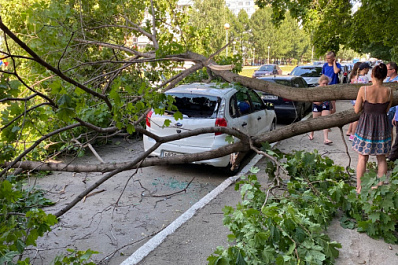 В Тольятти машина пострадала от удара ветки 