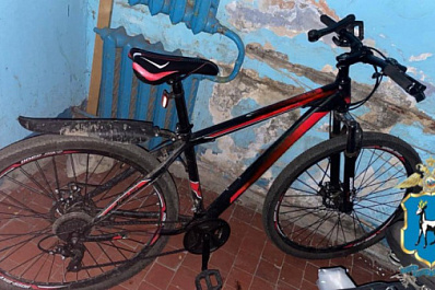 В Тольятти пропавший из подъезда велосипед нашли в ломбарде