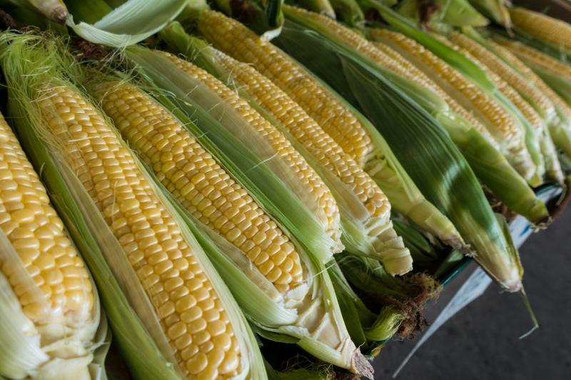 Чудо-продукт: как кукуруза восстанавливает печень