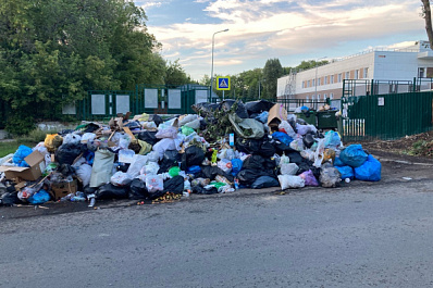 "Крысиное королевство": самарец рассказал, как Восьмая просека утопает в мусоре