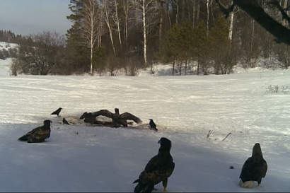 Название статьи