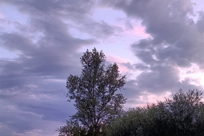 Название статьи