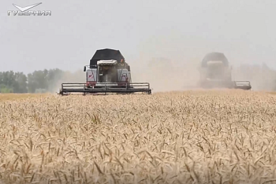 В Безенчукском районе механизаторы вступили в страду с молодыми помощниками