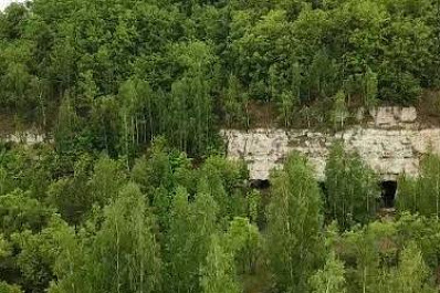 Дозоры, посадки, забота о зелёном богатстве: чем живут лесники Самарской области