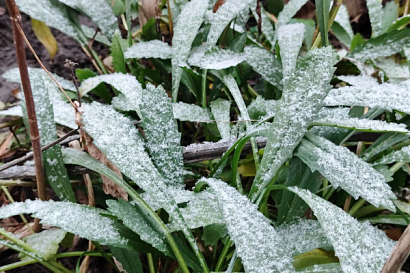 Название статьи
