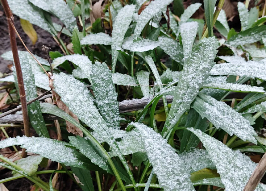 Название статьи