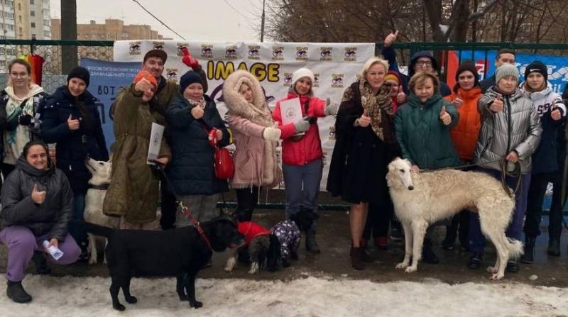 Самарцы оценили новую площадку для выгула собак в Ленинском районе