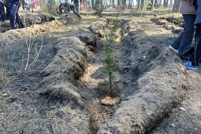 В тольяттинском экопарке "Шлюзовой" высадили 2500 деревьев