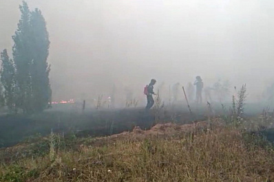 В Тольятти из-за крупного лесного пожара введен режим ЧС