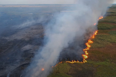 Около Кинеля загорелся камыш: угрозы населенным пунктам нет