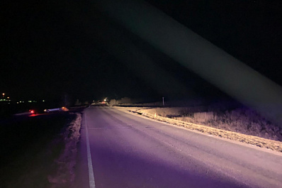 Насмерть сбил пешехода и скрылся: в Самарской области разыскивают водителя "газели"