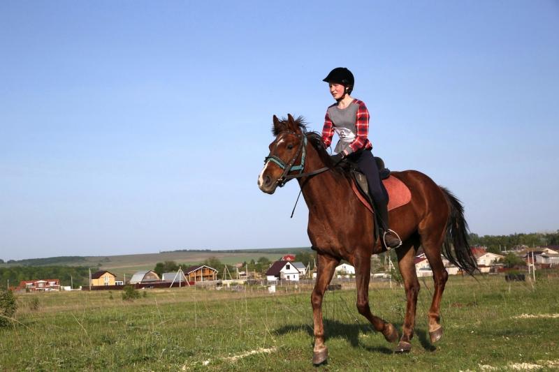 В Ставропольском районе прошло первенство региона по конному туризму 