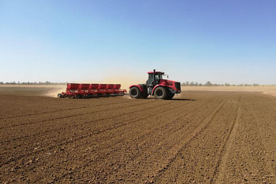 В Самарской области начали сеять озимые под урожай будущего года