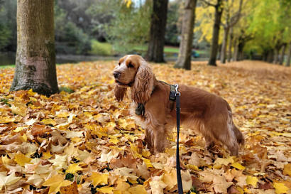Название статьи