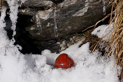 В Самарской области зафиксировали аномально высокую температуру