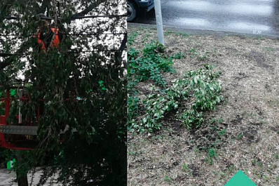 ЦУР помог быстро ликвидировать последствия шторма в Самаре