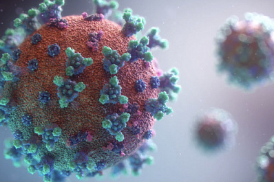 В России выявили новый подвид коронавируса "кентавр"