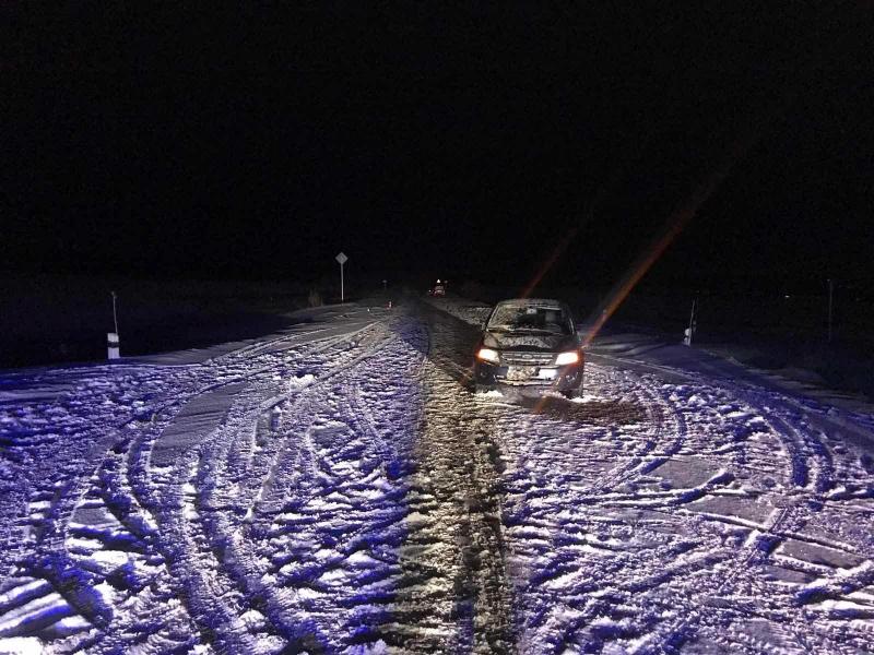 В Самарской области на трассе водитель сбил двух пьяных мужчин