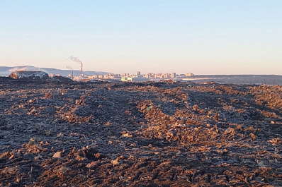 В Тольятти сформируют 60 земельных наделов для участников СВО