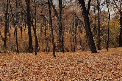 Название статьи