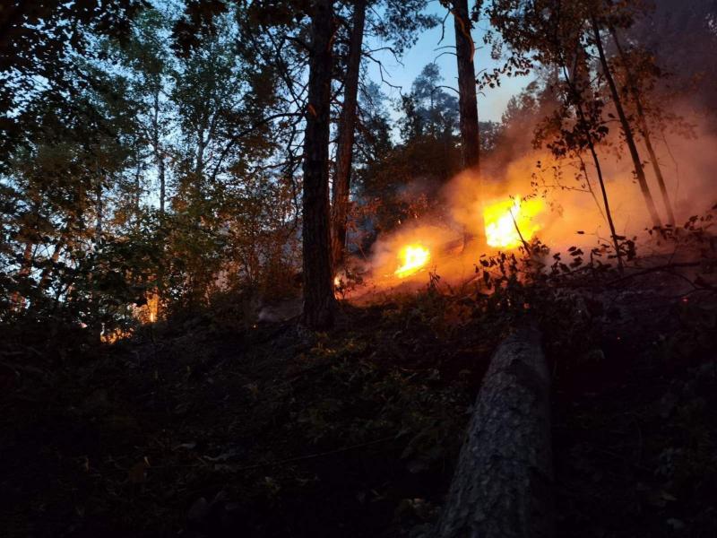 Жители Самарской области помогают в тушении пожара в Жигулевском заповеднике