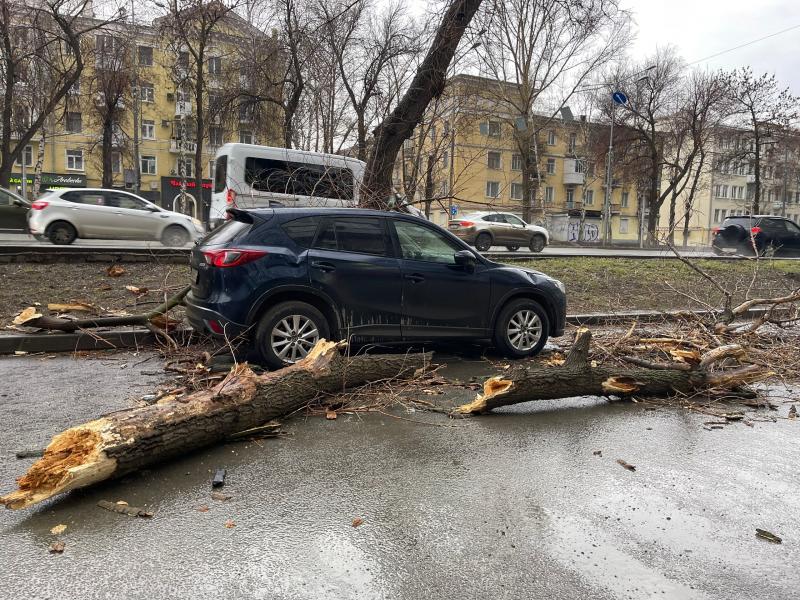 Ночной ветер в Самаре повалил обломки дерева на машину