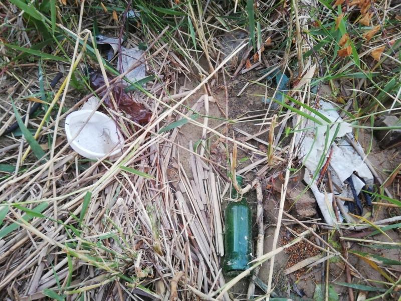 Несколько мешков "добычи" удалось собрать на рыбалке жительнице Сызрани