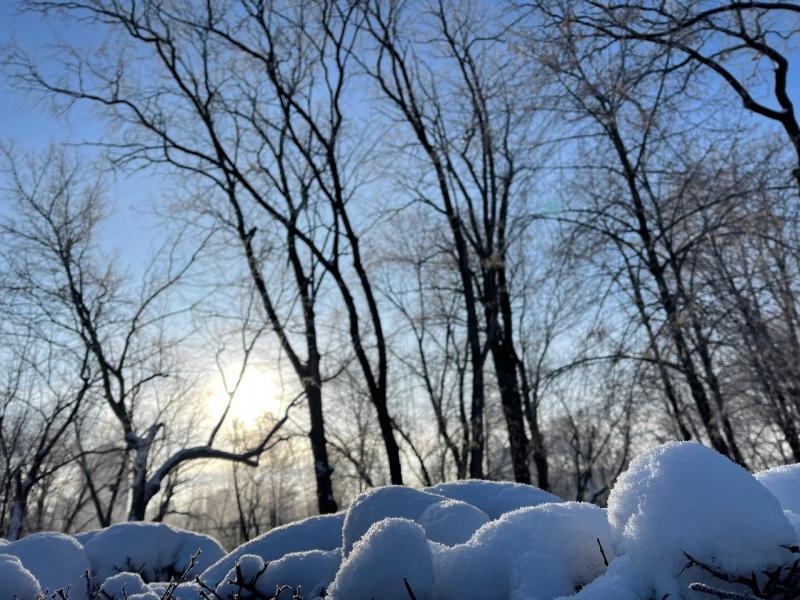 В Самарской области 13 января объявили желтый уровень опасности из-за сильного снега