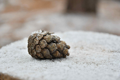 В Самарской области 5 декабря температура опустится ниже нуля