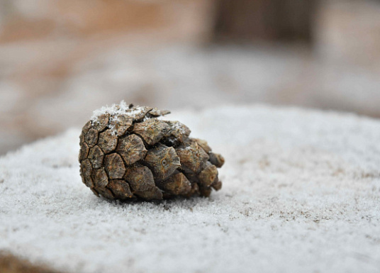 В Самарской области 5 декабря температура опустится ниже нуля