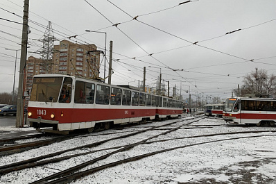 Самарцам предлагают найти и сфотографировать тигра в трамвае, чтобы выиграть приз